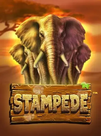 Stampede spilleautomat